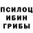 Псилоцибиновые грибы Psilocybine cubensis Clive Mahony
