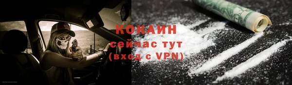 молекула духа Алексеевка