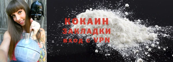 ПСИЛОЦИБИНОВЫЕ ГРИБЫ Михайлов
